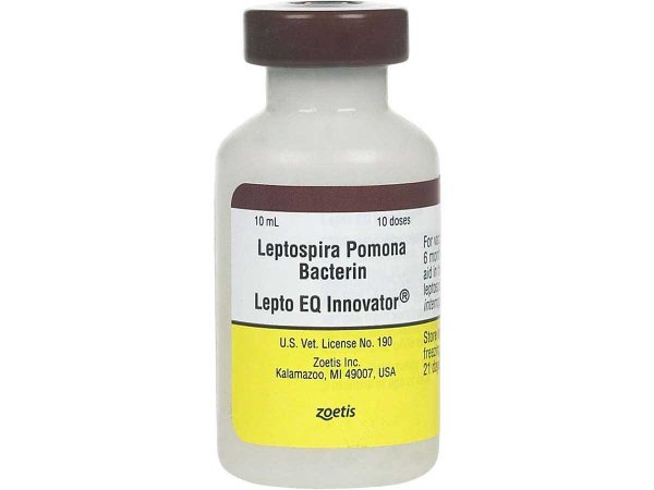 Lepto EQ Innovator