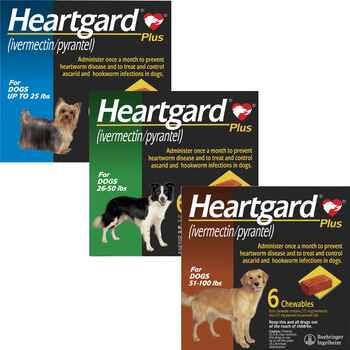 Heartgard Plus for Dogs