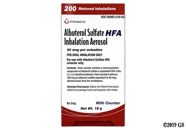 Albuterol 90 mcg Inh