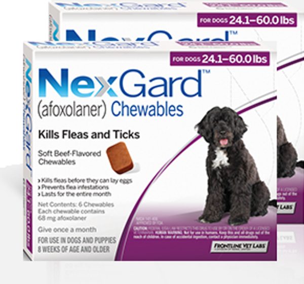NexGard Chew for Dogs, 24.1- 60 lbs (Purple Box)