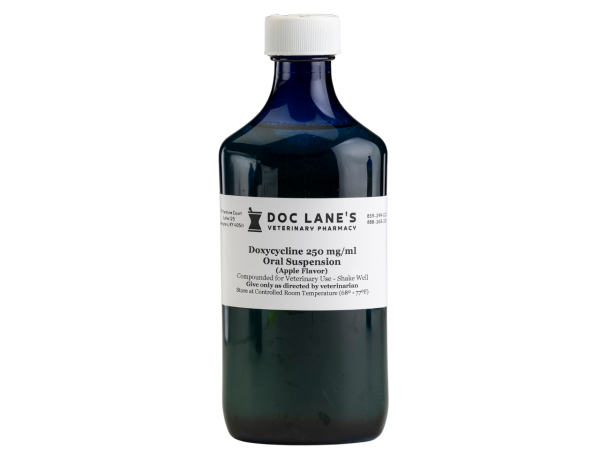 A bottle of Doxycycline 250 mg/ml Suspension for veterinary use.