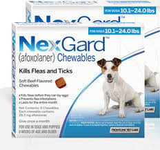 NexGard Chew for Dogs, 10.1-24 lbs (Blue Box)