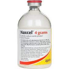 Naxcel