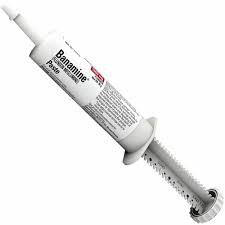 Banamine Paste, 30 ml