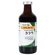 Vitamin B Complex Fortified