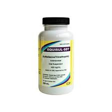 Equisul