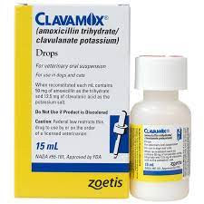 Clavamox Drops