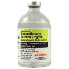 Dexamethasone 2 mg/ml Injection