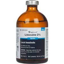 Lidocaine Injectable, 100 ml