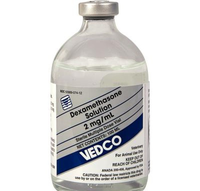 A bottle of Dexamethasone 4 mg/ml Injection for veterinary use.